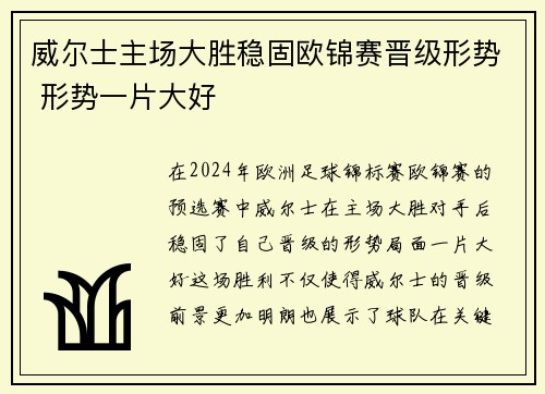 威尔士主场大胜稳固欧锦赛晋级形势 形势一片大好